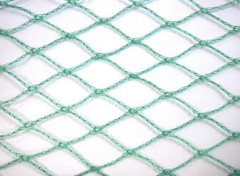 A piece of green diamond knitted bird netting on the white background.