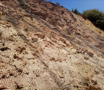 Biaxial plastic geogrid is covering the slope.