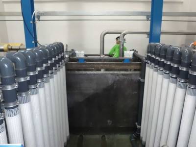 There are many sets of ion exchange tubes.