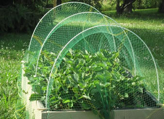 Garden Crops Plant Netting 5/10M Mesh Bird Insect Animal Vegetables Protective @ 